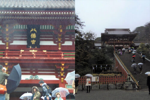 雨の鶴岡八幡宮2014年３月