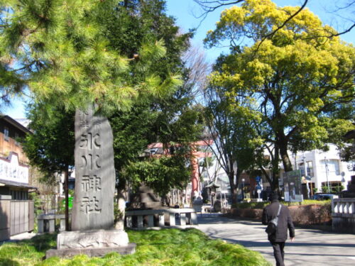 氷川神社　参道　鳥居付近